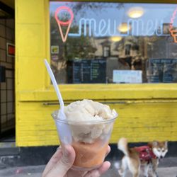 Arctic Fire Sorbet. Orange Sorbet.
