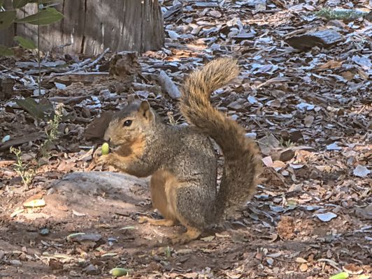 Shipley Nature Center by null