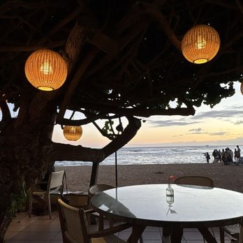 Hau Tree - Patio - Seafood Near Me - Honolulu, Hawaii
