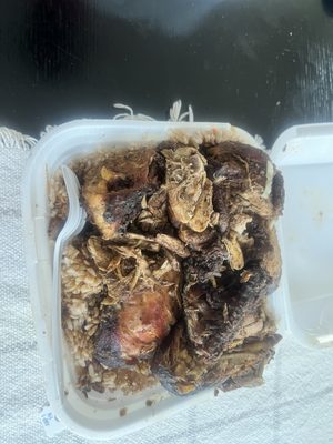 Scotch Bonnet Jamaican Restaurant by null