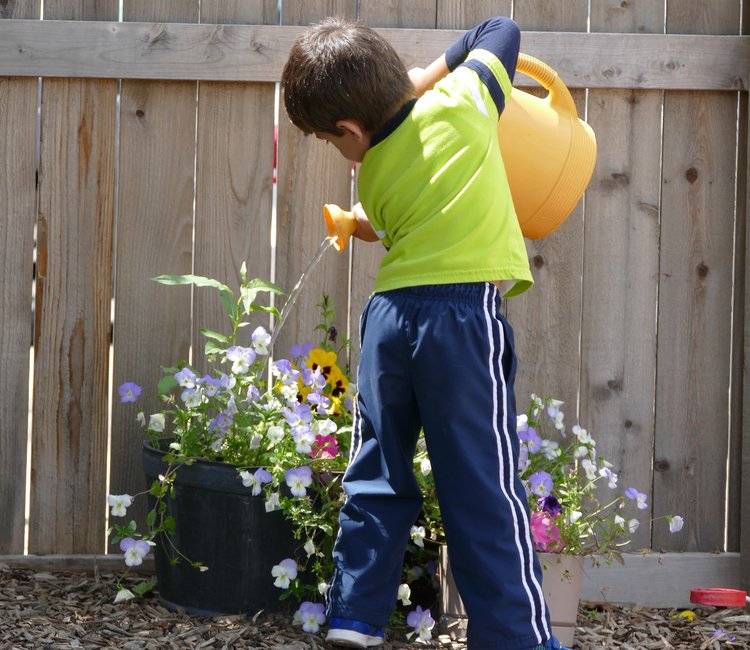 Peter Pan Early Learning Center of Westmont - childcare center in Westmont, IL
