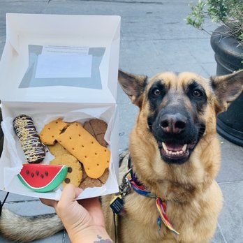 The Dog Bakery - Pet Stores Near Me - Pasadena, California The Dog Bakery - Pet Stores Near Me - Pasadena, California