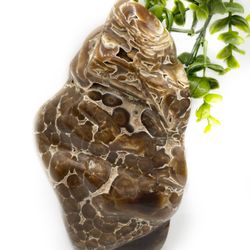 Dublin Rocks and Minerals