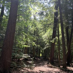 J.P. Nicely West Falls Memorial Park - Well marked, wide trails.