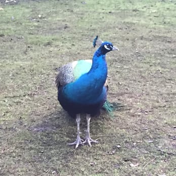 Tierpark Hagenbeck - Zoos Near Me - Hamburg, HH Tierpark Hagenbeck - Zoos Near Me - Hamburg, HH