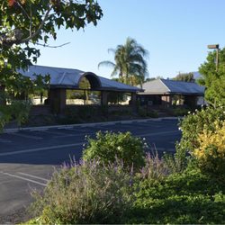 Apex Med Family Healthcare