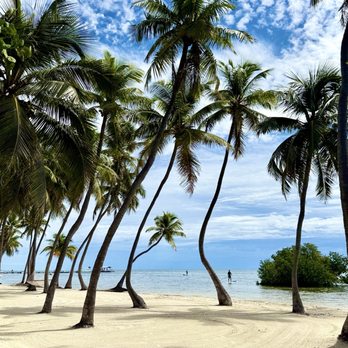Islander Resort - Resorts Near Me - Islamorada, Florida