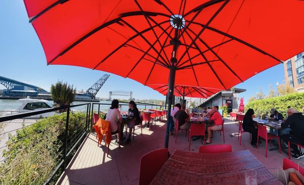 Alley Cat Oyster Bar by null