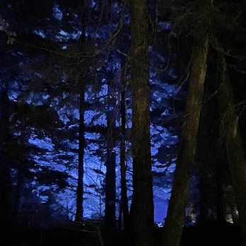 Vallea Lumina - Walking Tours Near Me - Whistler, British Columbia Vallea Lumina - Walking Tours Near Me - Whistler, British Columbia