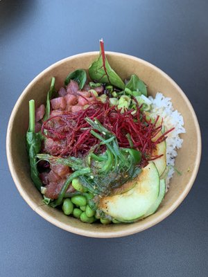 Sweet Tuna Halcyon by null