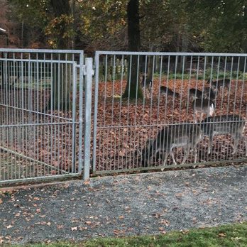 Tiergehehge Waldhaus - Zoos Near Me - Greiz, TH