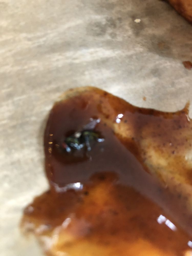 THE NICKLE PLATE BAR & GRILL 61 Photos & 24 Reviews 954 PA487