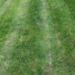 YOUR REALM PROPERTY MANAGEMENT - Lawn Services - Clarkston, MI - Phone