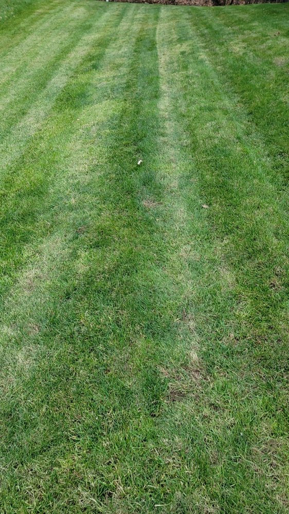 YOUR REALM PROPERTY MANAGEMENT - Lawn Services - Clarkston, MI - Phone