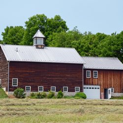 Jump Mountain Vineyard