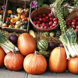 Your Neighborhood Farmers Market