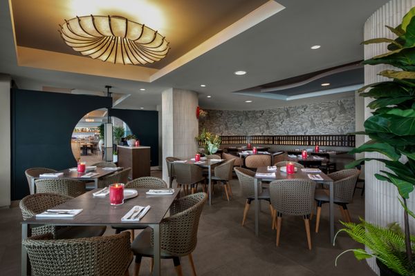 Pier South Resort, Autograph Collection by null
