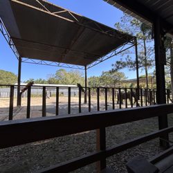 Two Tails Ranch - The start of the adventure