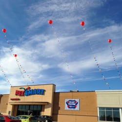PetSmart Dog Training
