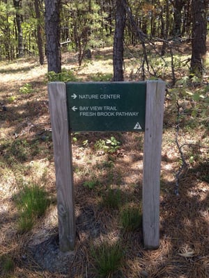 Mass Audubon Wellfleet Bay Wildlife Sanctuary by null