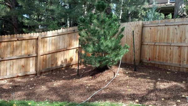 Engel Property Services