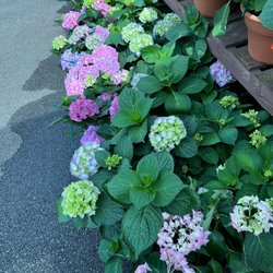 user provided Knights Market photo