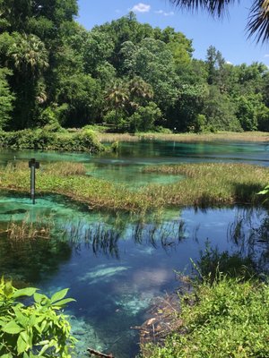 Rainbow Springs State Park by null