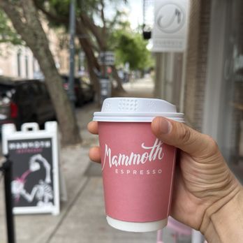 Mammoth Espresso - Vanilla Latte - Coffee & Tea Near Me - New Orleans, Louisiana Mammoth Espresso - Vanilla Latte - Coffee & Tea Near Me - New Orleans, Louisiana