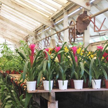 Instant Jungle - Nurseries & Gardening Near Me - Orange, California Instant Jungle - Nurseries & Gardening Near Me - Orange, California
