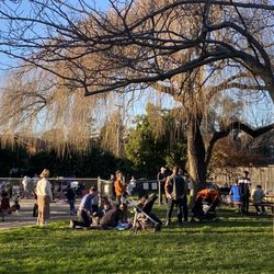 Ohlone Park - Dog park