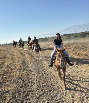 S&D Horseback Riding by null