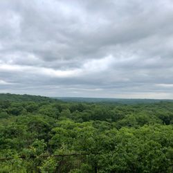 Butler Sanctuary