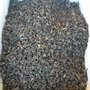 Photo of King of Ginseng