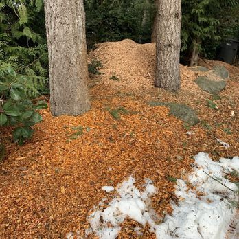 The Tree Guy Arborist - Mulch from trees - Tree Services Near Me