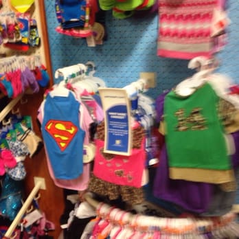 PetSmart Grooming - Our boy needs a new sweater. - Pet Training Near Me - Yonkers, New York PetSmart Grooming - Our boy needs a new sweater. - Pet Training Near Me - Yonkers, New York