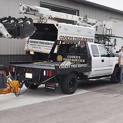 Cookes Tree Service 1