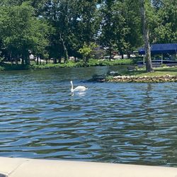 Geist Marina - View from boat