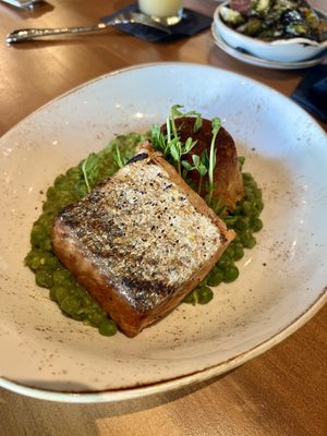 Jaxon Texas Kitchen by null