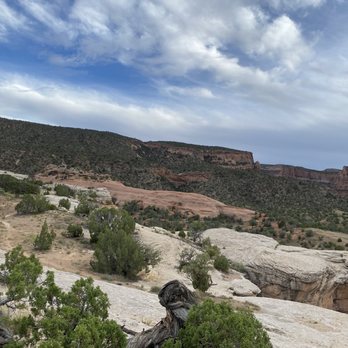 Rimrock Adventures - Rafting/Kayaking Near Me - Fruita, Colorado