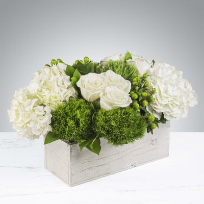 Spring Floral Collection 2026 - This project showcases our signature spring arrangements vivid tulips, elegant lilies, and classic roses. Each handcrafted bouquet is perfect for any occasion, whether gifting or brightening your own space. Spring Floral Collection 2026 - This project showcases our signature spring arrangements vivid tulips, elegant lilies, and classic roses. Each handcrafted bouquet is perfect for any occasion, whether gifting or brightening your own space.