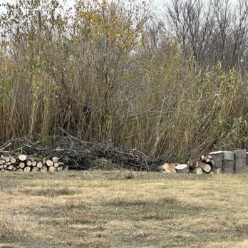Clean Cuts Tree Care - Tree removal and stacking of wood - Tree Services Near Me Clean Cuts Tree Care - Tree removal and stacking of wood - Tree Services Near Me