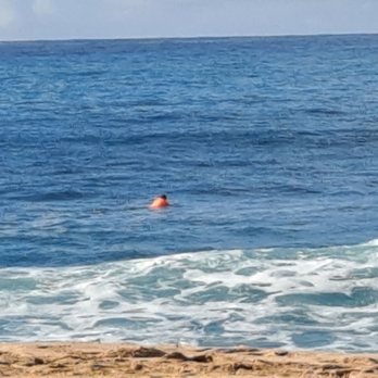 Hulakai Surf & Paddle - Heading out to the surf at Makaha Beach. The wife can find me now with my bright orange jersey Thanks again n HAPPY HOLIDAYS - Surf Shop Near Me - Hilo, Hawaii Hulakai Surf & Paddle - Heading out to the surf at Makaha Beach. The wife can find me now with my bright orange jersey Thanks again n HAPPY HOLIDAYS - Surf Shop Near Me - Hilo, Hawaii
