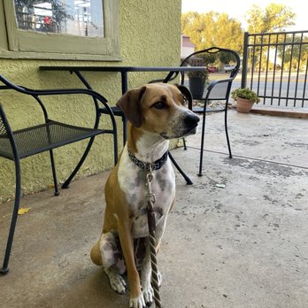 Bellas Bistro - Dog friendly - Italian Near Me - Saratoga, Wyoming