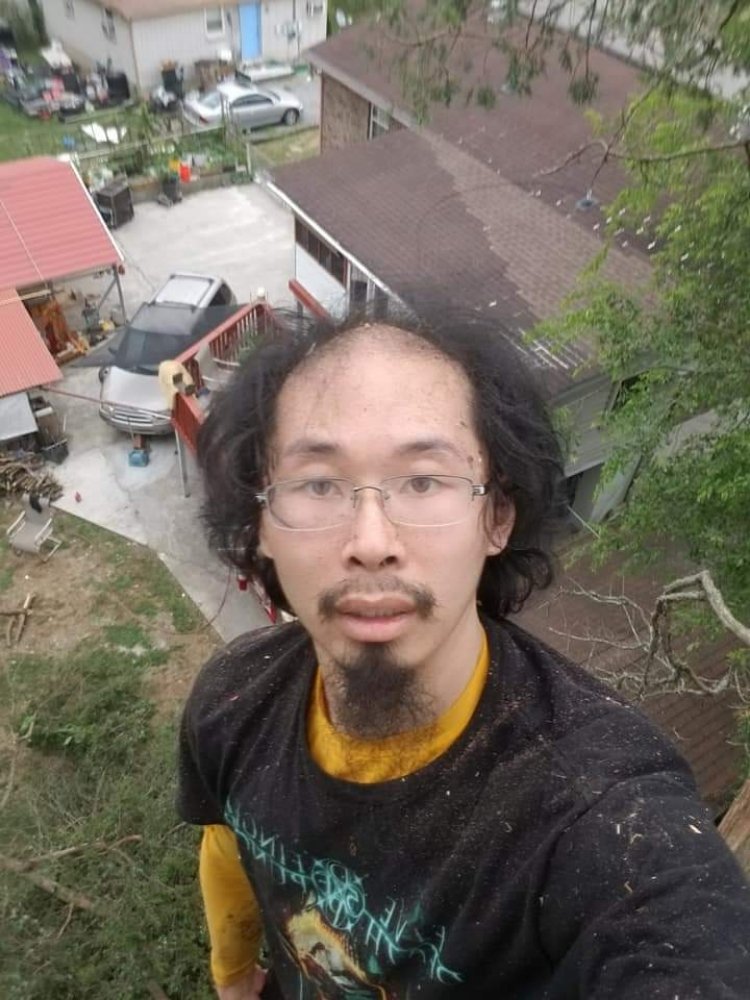 Open Up The Sky - tree service in Nashville, TN