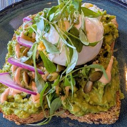 Hass Avocado Toast