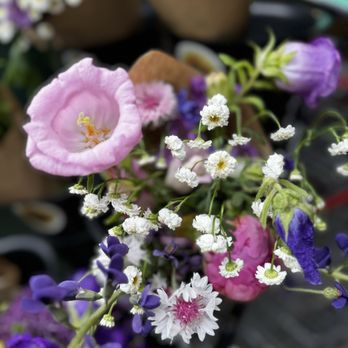 Lakeshore Depot - Flowers - Farmers Market Near Me - Marquette, Michigan Lakeshore Depot - Flowers - Farmers Market Near Me - Marquette, Michigan