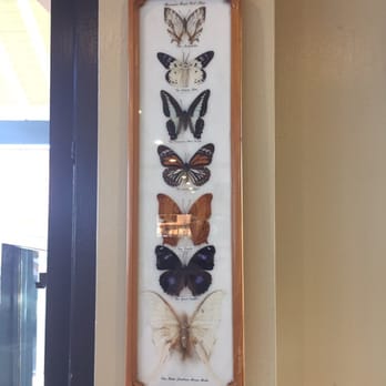 Pho Tasty - Butterfly decorations - Vietnamese Near Me - Artesia, California