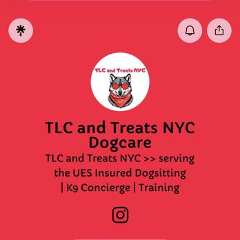 TLC and Treats - Website Posted 01/18/26 - Pet Training Near Me - New York, New York TLC and Treats - Website Posted 01/18/26 - Pet Training Near Me - New York, New York