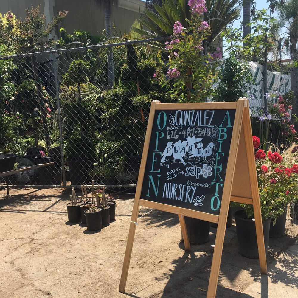 Gonzalez Nursery - The best!! - Nurseries & Gardening Near Me - Monrovia, California