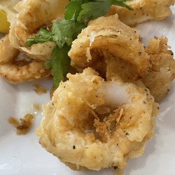 Mora Grill - Chewy - Syrian Near Me - Pompano Beach, Florida